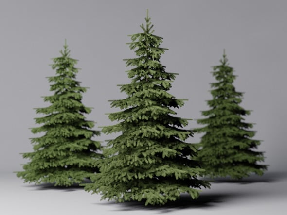 Fir Tree - 3DOcean Item for Sale