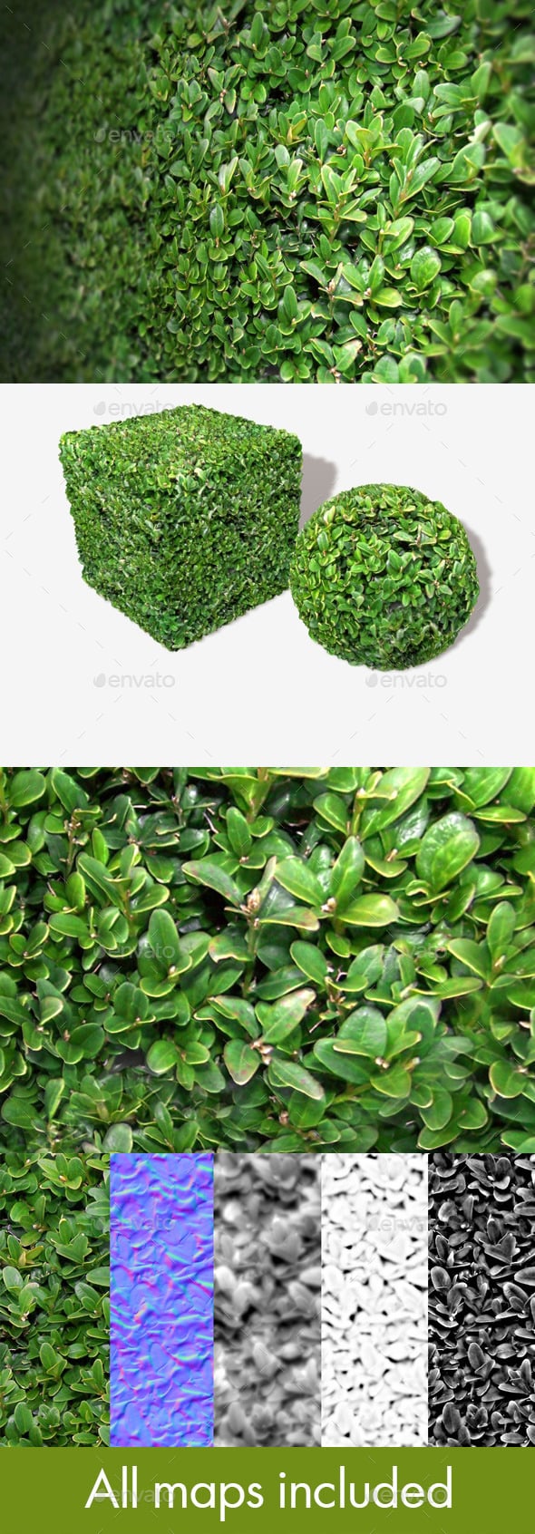 Shrub Seamless Texture - 3DOcean Item for Sale