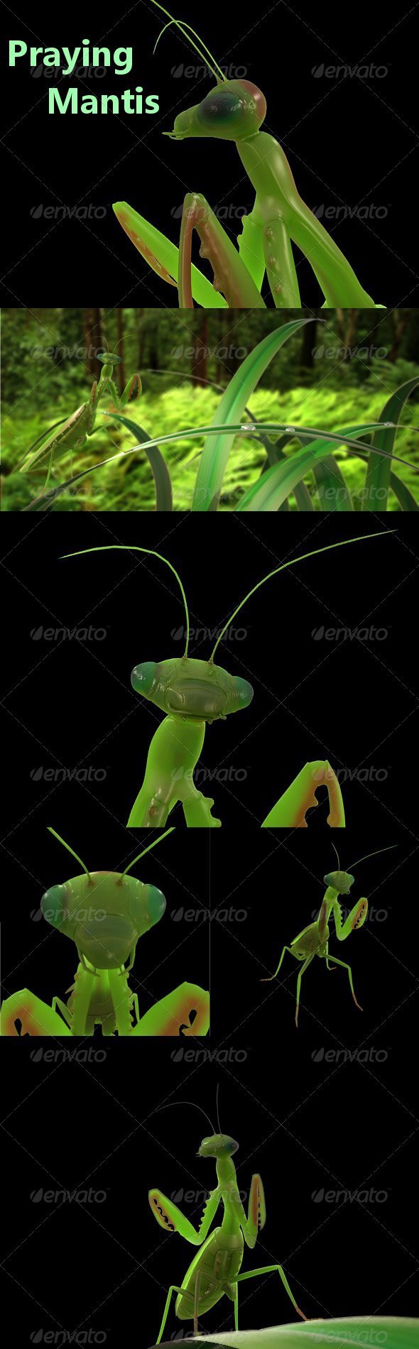 Praying mantis - 3DOcean Item for Sale