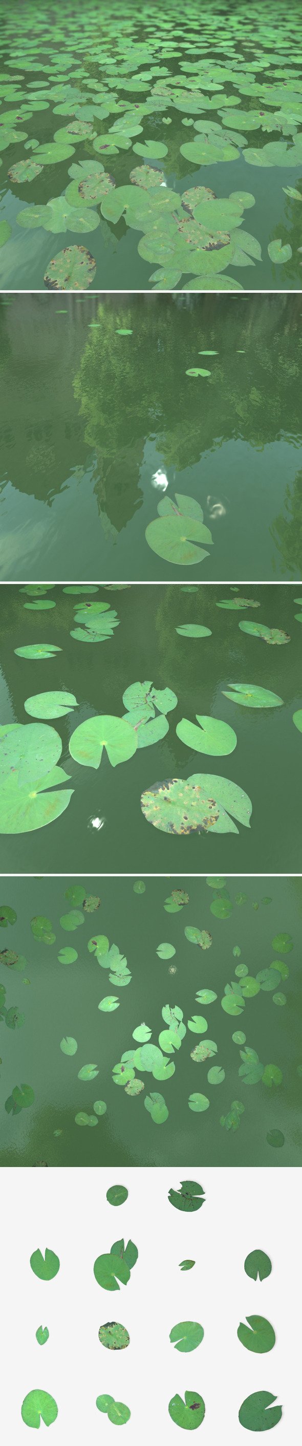 Lily Pads - 3DOcean Item for Sale