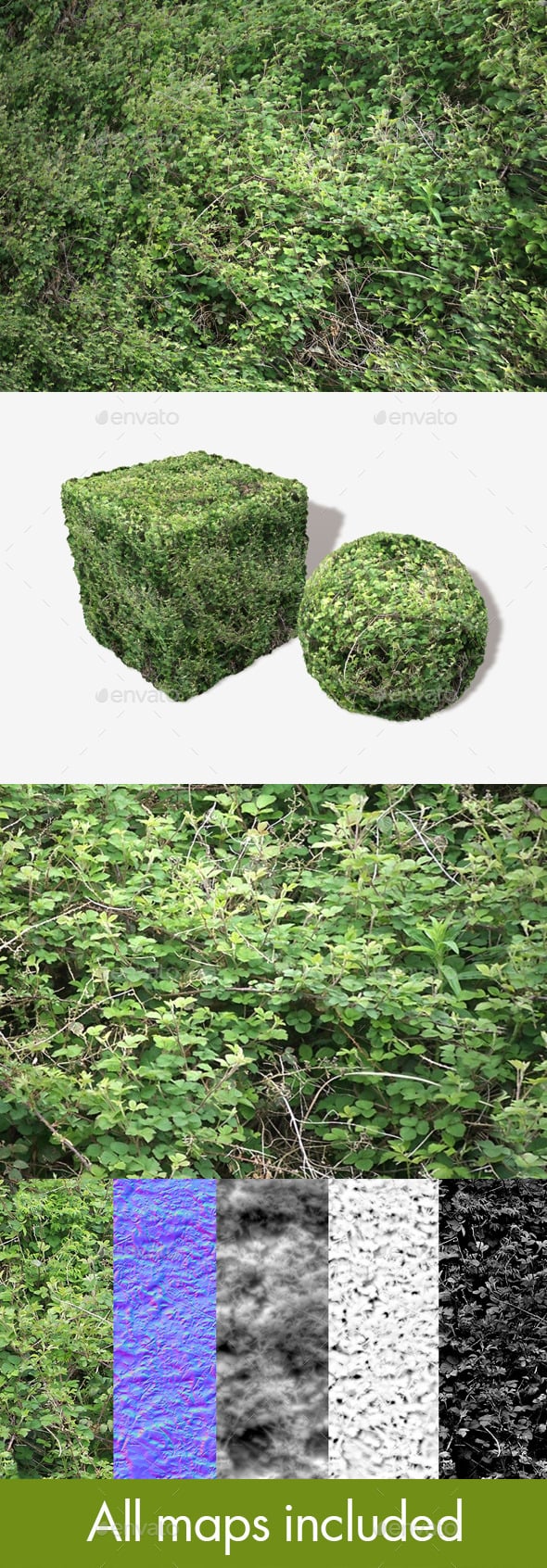 Brambles Background Seamless Texture - 3DOcean Item for Sale