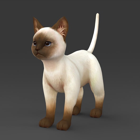 White Brown Kitten - 3DOcean Item for Sale