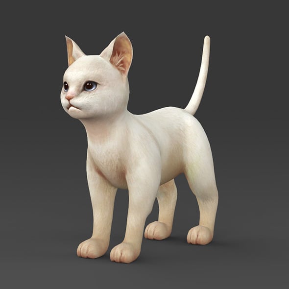 White Kitten - 3DOcean Item for Sale