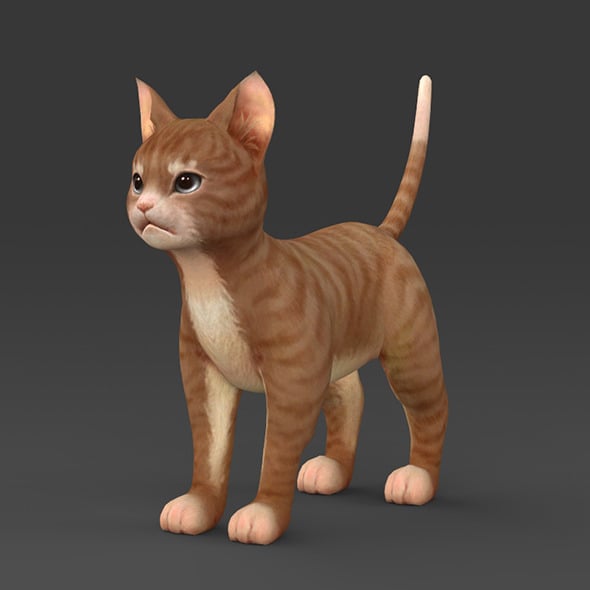 Brown Kitten - 3DOcean Item for Sale