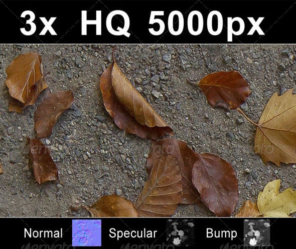 3x Autumn Leaves on Road 1 - 3DOcean Item for Sale