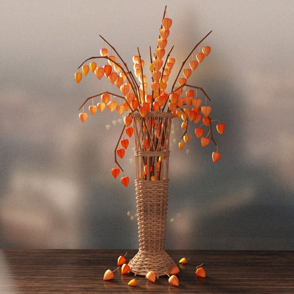 Vase with physalis - 3DOcean Item for Sale