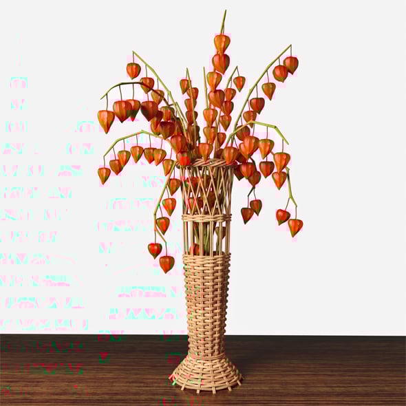 Wicker vase with physalis - 3DOcean Item for Sale