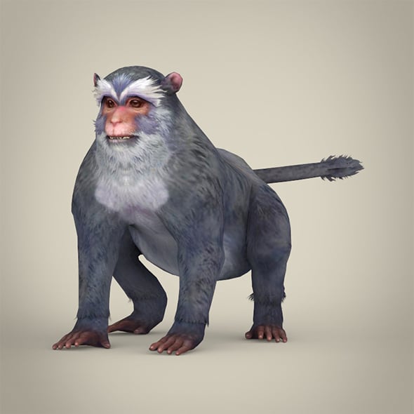 Game Ready White Monkey - 3DOcean Item for Sale