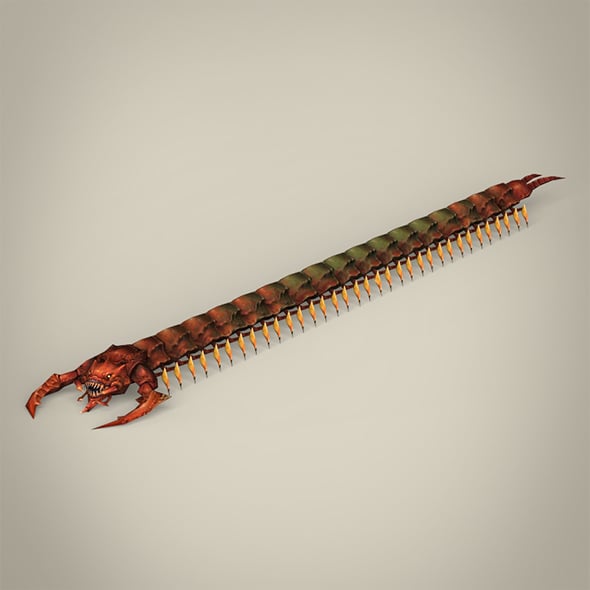 Game Ready Fantasy Centipede - 3DOcean Item for Sale