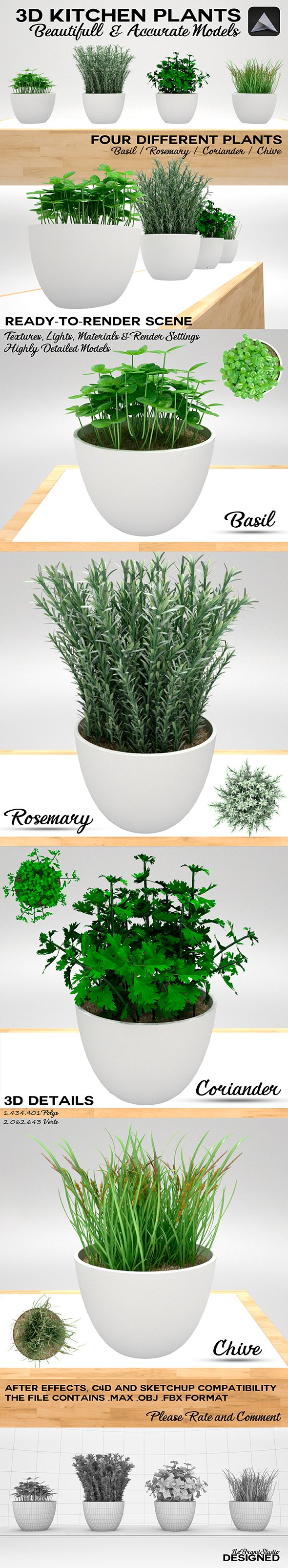 Kitchen Plants 3D - 3DOcean Item for Sale