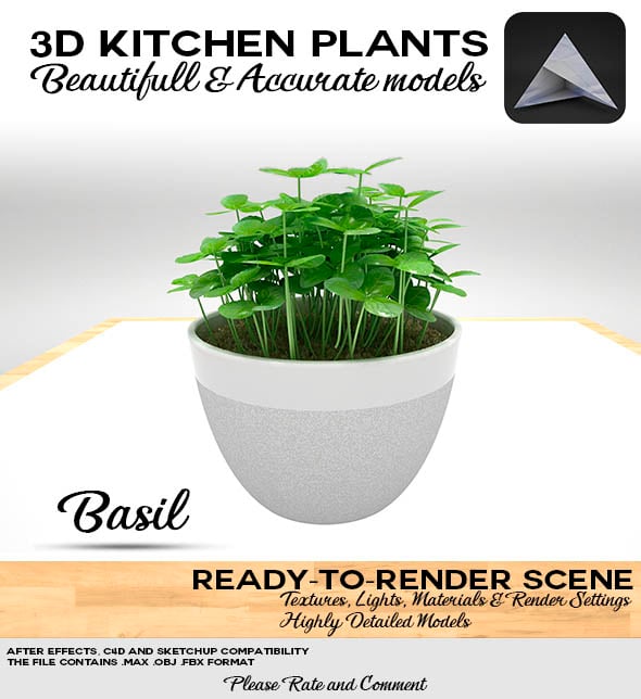 Basil Pot 3D - 3DOcean Item for Sale
