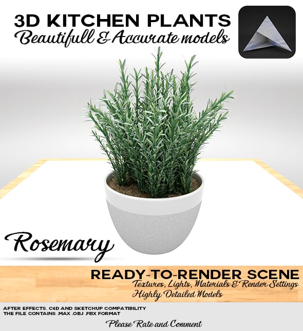 Rosemary Pot 3D - 3DOcean Item for Sale