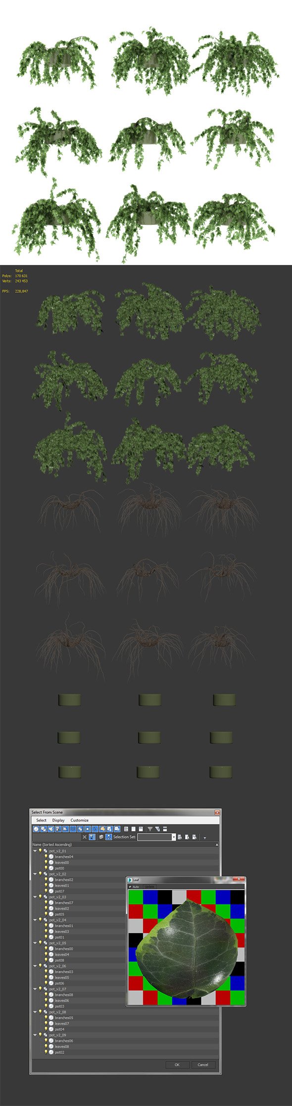 Ivy in pot. 9 models v2 - 3DOcean Item for Sale