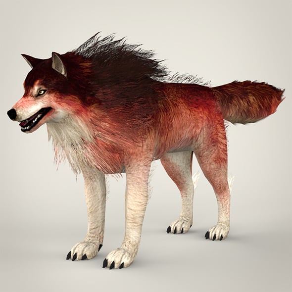 Red Wolf - 3DOcean Item for Sale