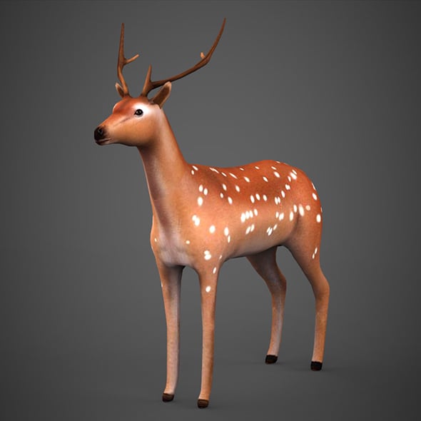 Low poly Deer - 3DOcean Item for Sale
