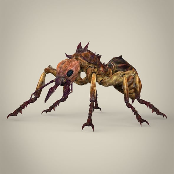 Fantasy Warrior Ant - 3DOcean Item for Sale