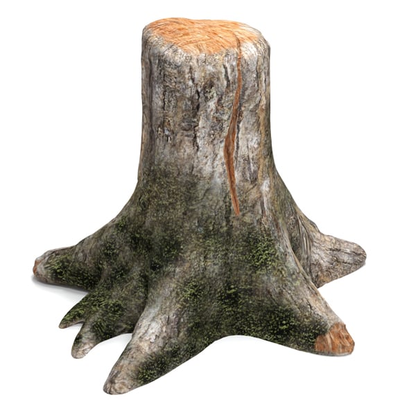 Old tree stump - 3DOcean Item for Sale