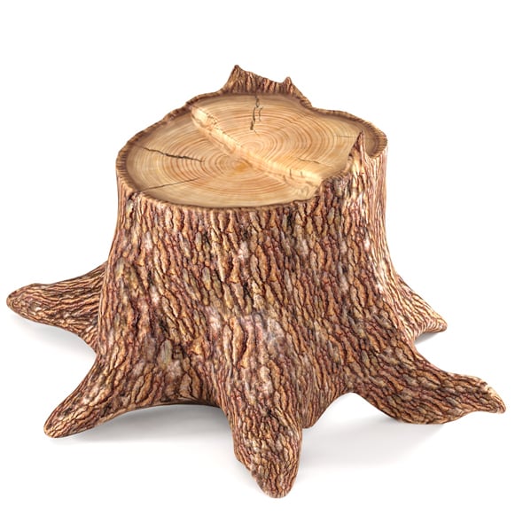 Pine stump - 3DOcean Item for Sale