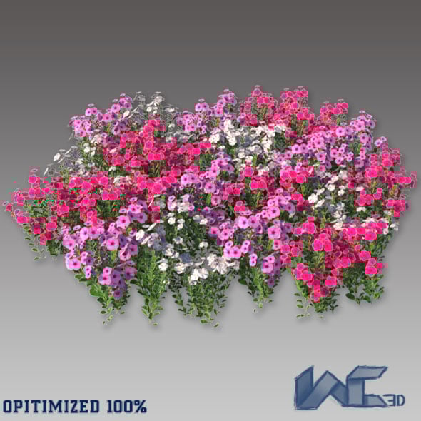 Catharanthus Roseus - 3DOcean Item for Sale