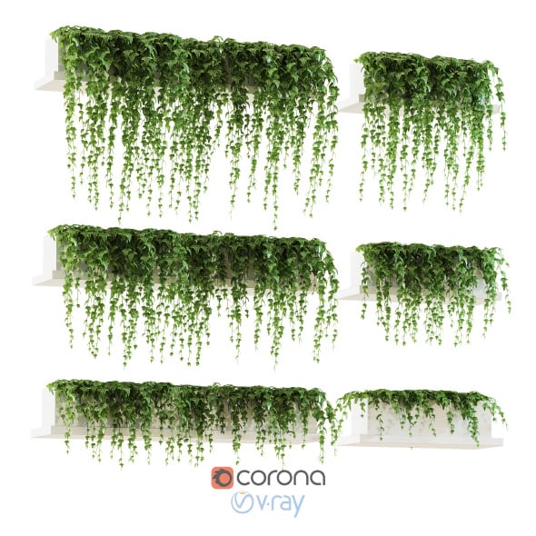 Ivy on the shelves - 3DOcean Item for Sale