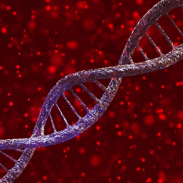 DNA Deoxyribo Nucleic Acid - 3DOcean Item for Sale