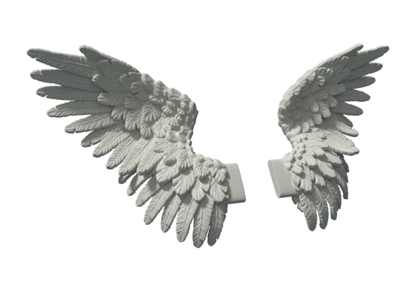 Wings - 3DOcean Item for Sale