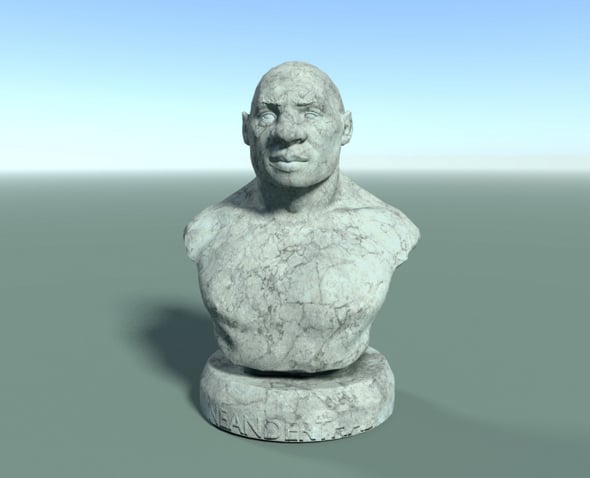 Low Poly Neanderthal Bust - 3DOcean Item for Sale