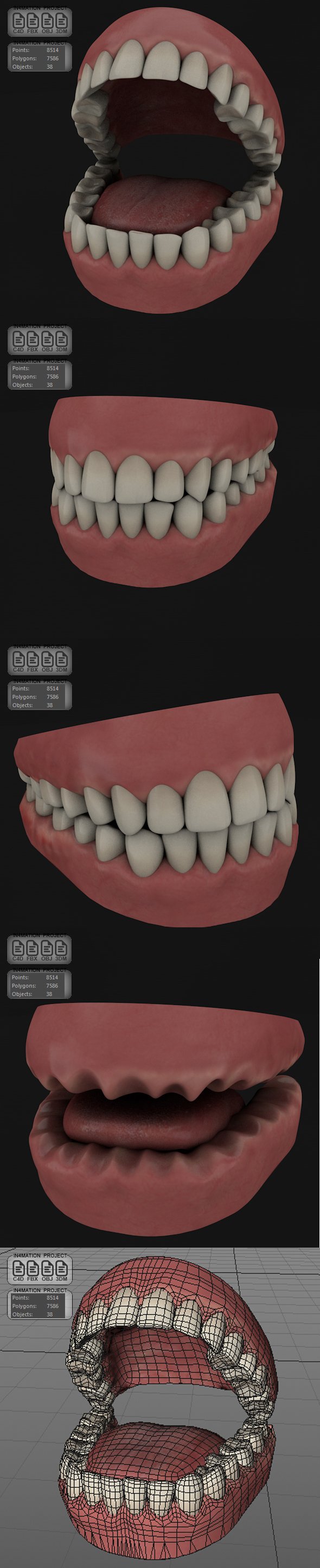 Teeth & Gums - Full Design - 3DOcean Item for Sale