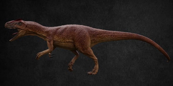 Allosaurus - 3DOcean Item for Sale