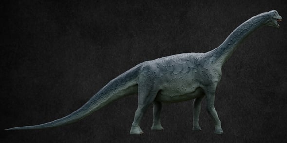 Camarasaurus - 3DOcean Item for Sale