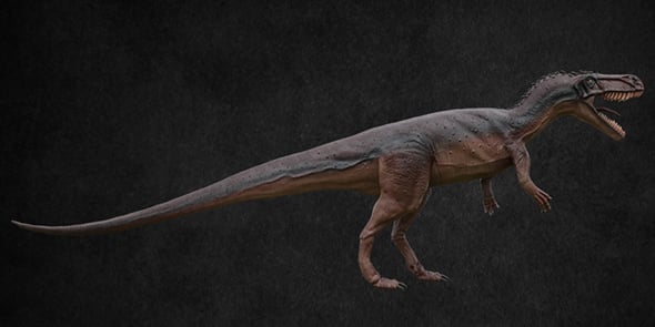 Torvosaurus - 3DOcean Item for Sale
