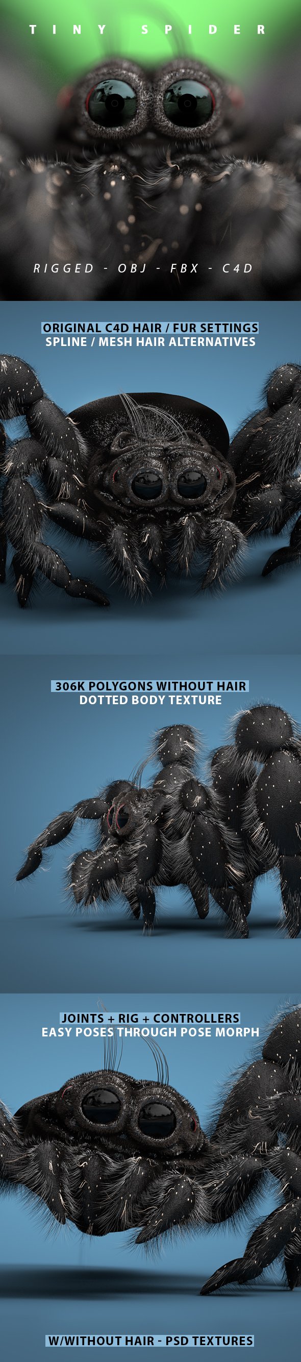 Tiny Spider Rigged 3D Model - 3DOcean Item for Sale