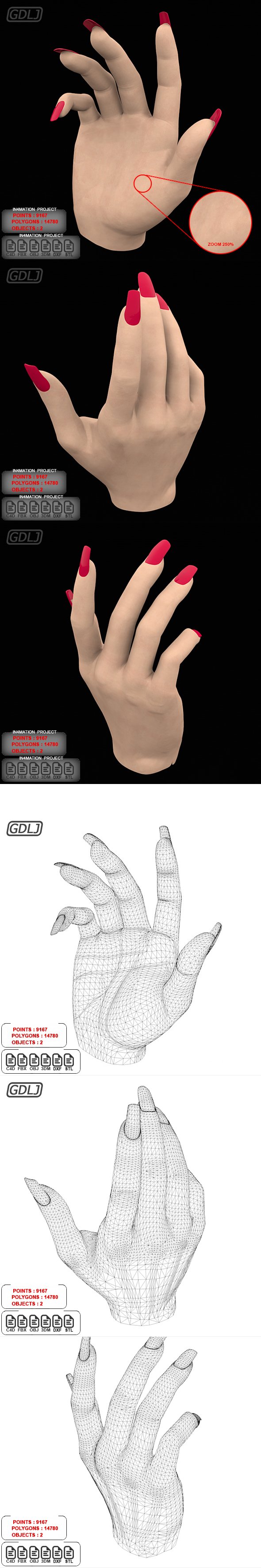 Hand with Full Textures - 3DOcean Item for Sale