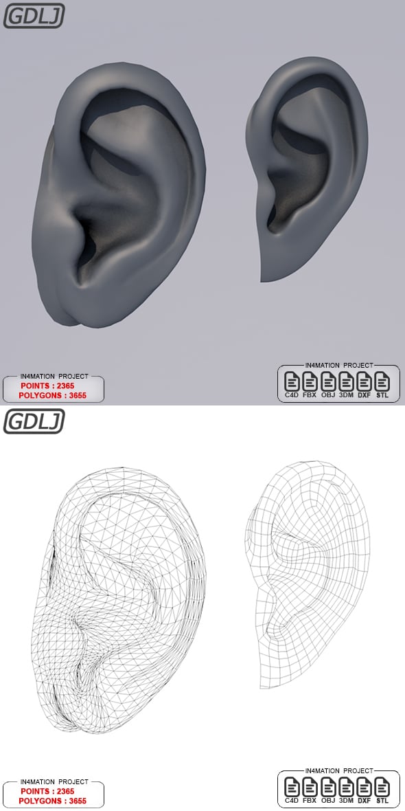 Ears - 3DOcean Item for Sale