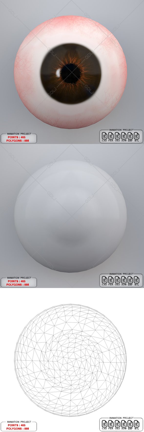 Human Eye 3D Model - 3DOcean Item for Sale