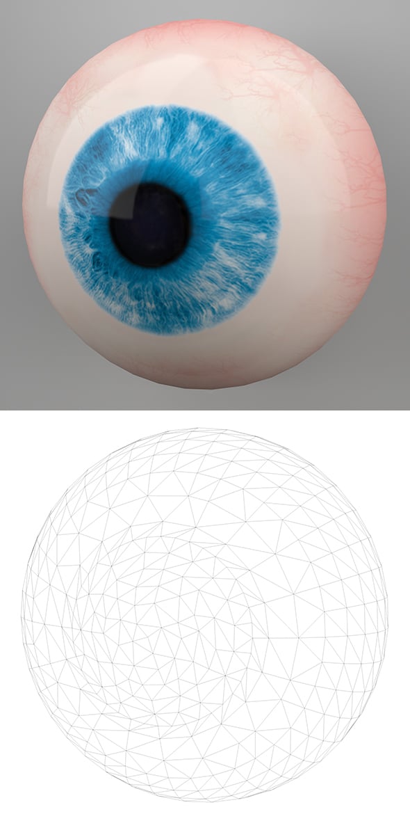 Human Eye 3D Model - 3DOcean Item for Sale