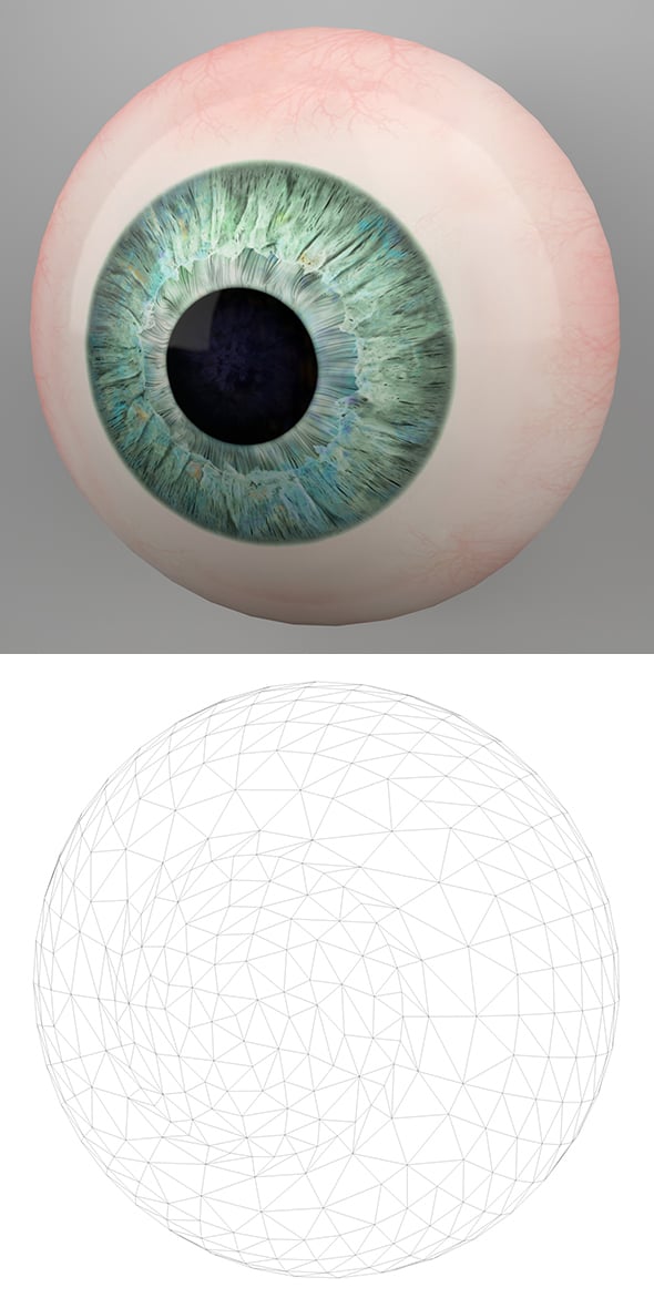Human Eye 3D Model - 3DOcean Item for Sale