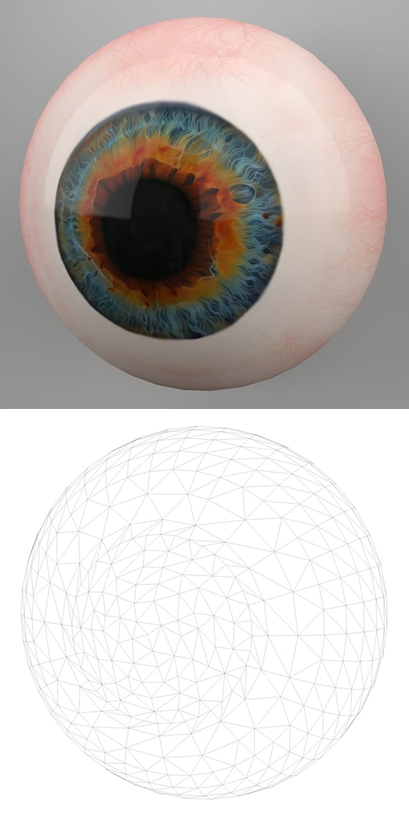 Human Eye 3D Model - 3DOcean Item for Sale