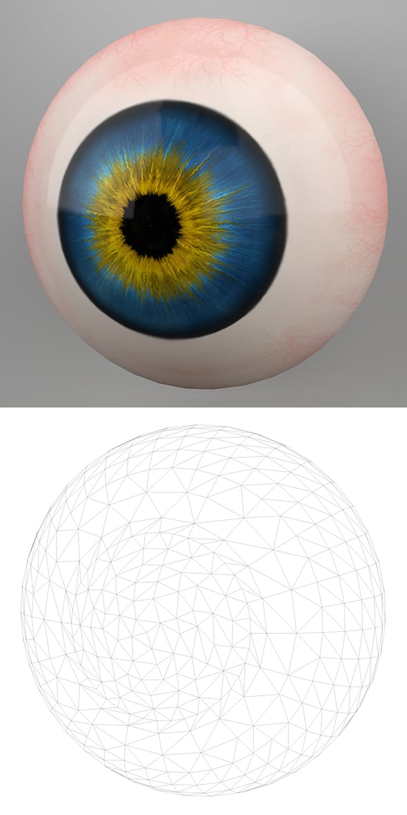Human Eye 3D Model - 3DOcean Item for Sale