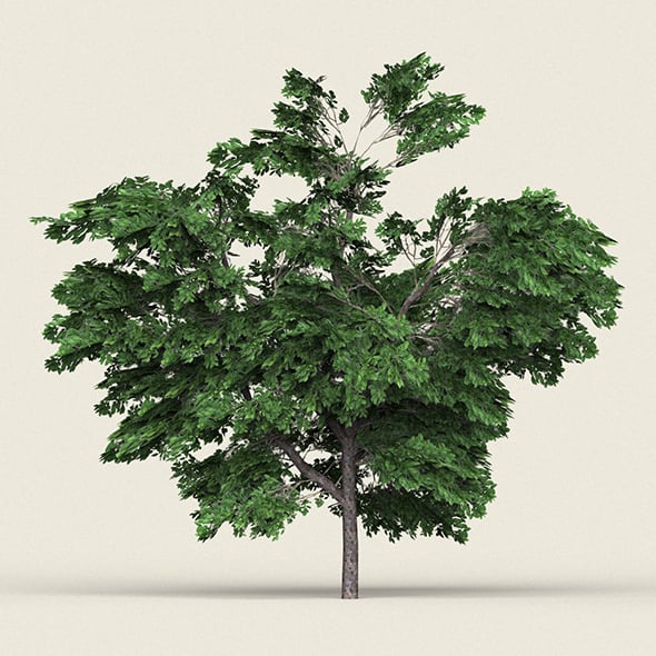 Game Ready Forest Tree 01 - 3DOcean Item for Sale