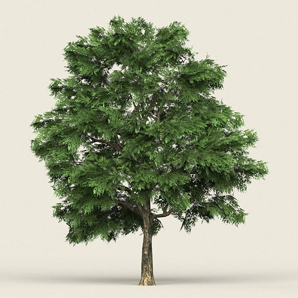 Game Ready Forest Tree 03 - 3DOcean Item for Sale
