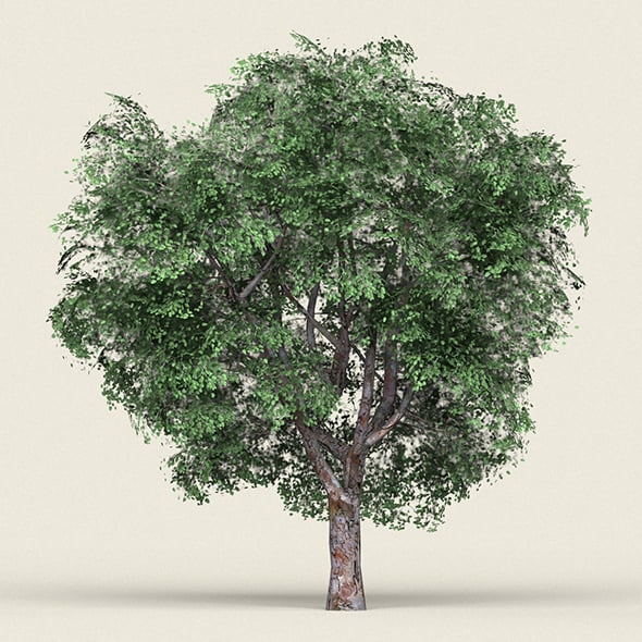 Game Ready Forest Tree 05 - 3DOcean Item for Sale