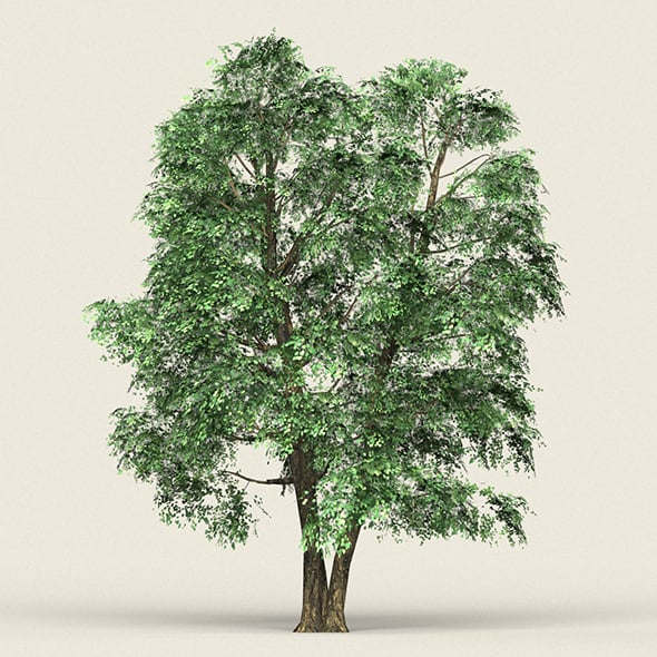 Game Ready Forest Tree 07 - 3DOcean Item for Sale