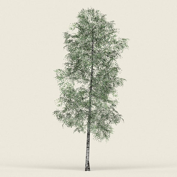 Game Ready Forest Tree 09 - 3DOcean Item for Sale