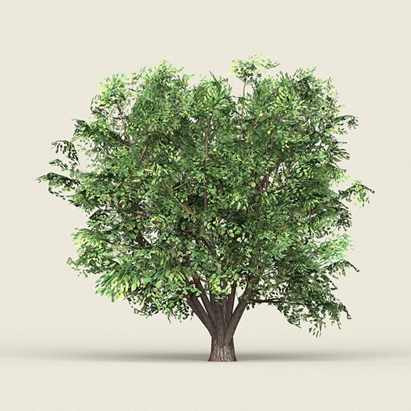 Game Ready Forest Tree 11 - 3DOcean Item for Sale