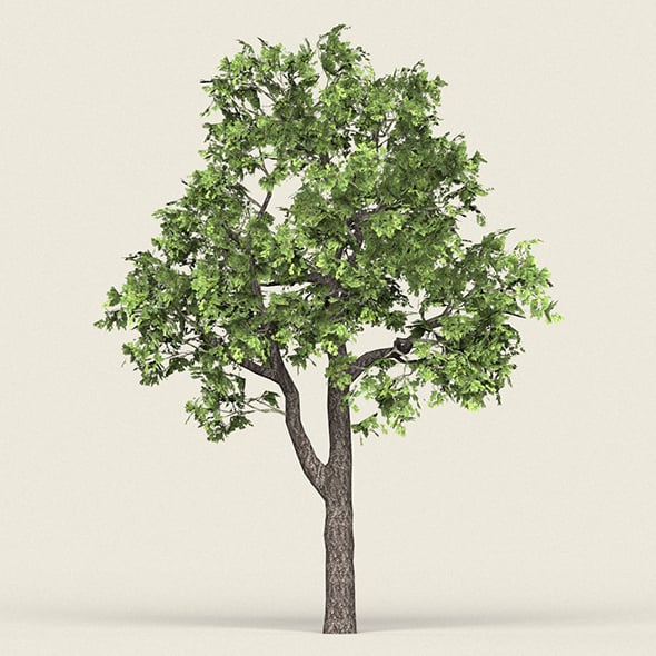 Game Ready Forest Tree 16 - 3DOcean Item for Sale