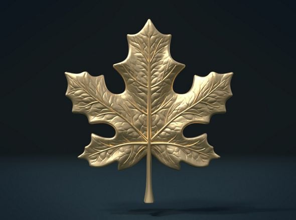 Maple Leaf - 3DOcean Item for Sale