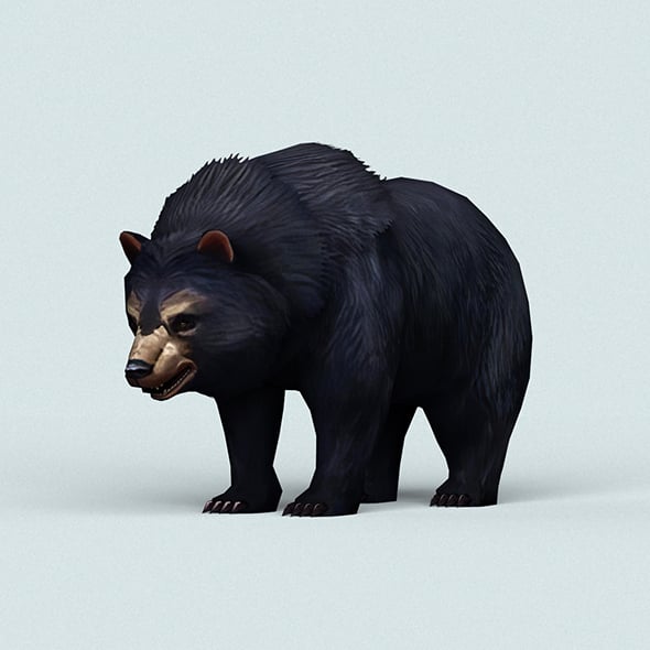 Wild Bear - 3DOcean Item for Sale