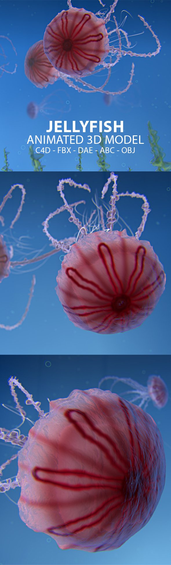 Jellyfish Animated 3D Model - 3DOcean Item for Sale