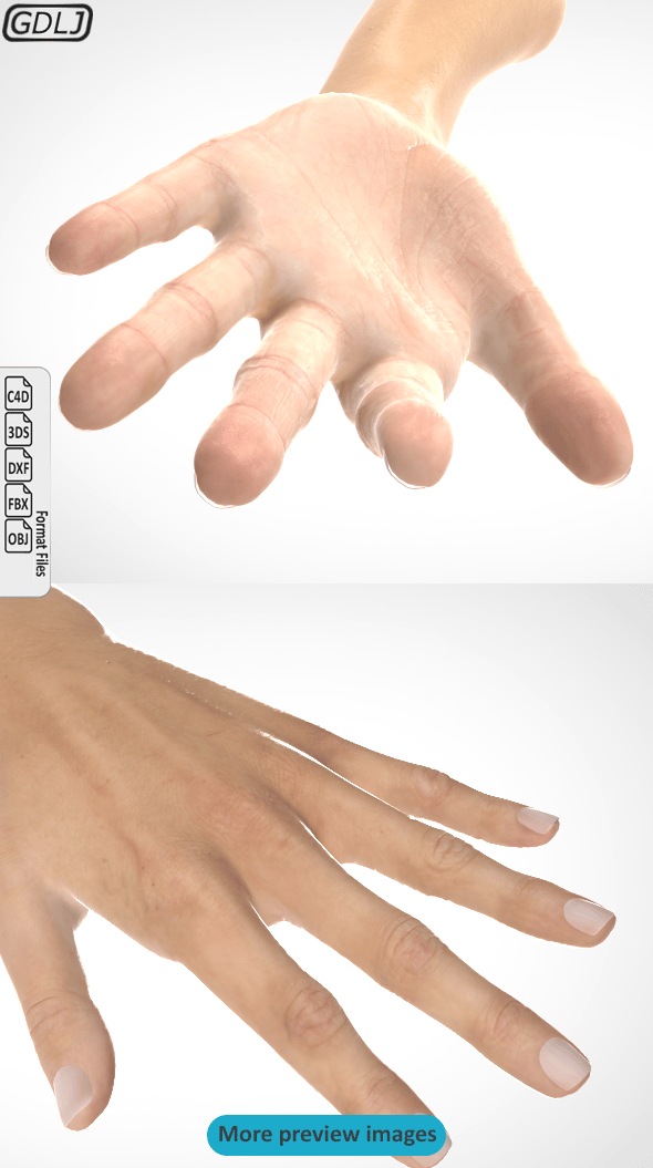 Hand 3D model realistic - 3DOcean Item for Sale